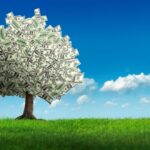 金のなる木｜マーケティングで使えるPPM、BCGマトリクスを解説！